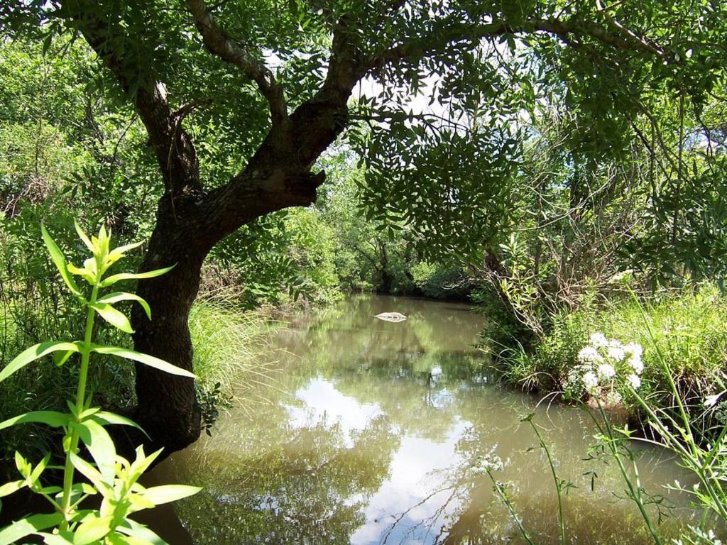Lagunetas - Descanso Rural - El Capricho Holiday home *